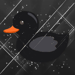 Black Duck