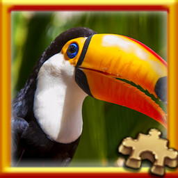 Toucan Complete!