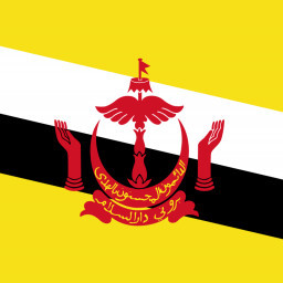 Flag of Brunei