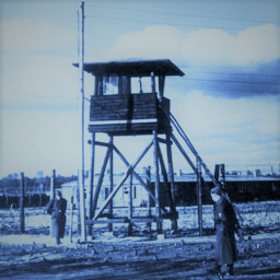 Stalag 20