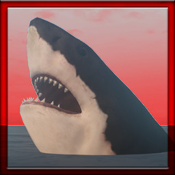 Shark Attack