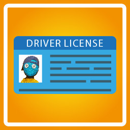 Driver License