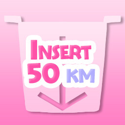 Insert 50 km