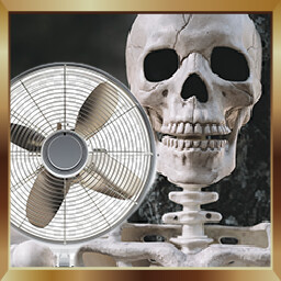 Fan Death