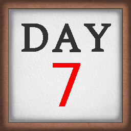 Day 7