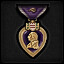 The Purple Heart, Bronze Oak Leaf