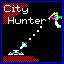 City Hunter