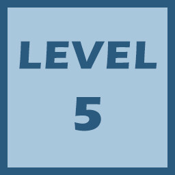 Level 5