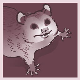 Opossum