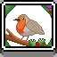 Robin in a Wreath