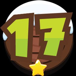 LEVEL 17