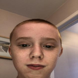 Bald Owen