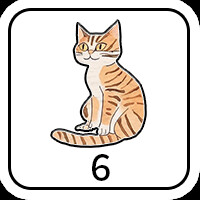 6