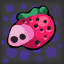 STRAWBERRY PIGGY