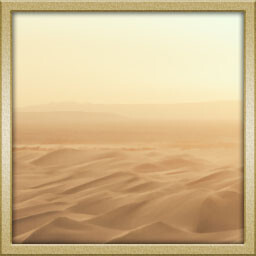 Desert Biome