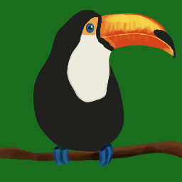 Toucan