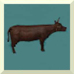 NEW SEE COW