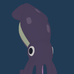 Squid