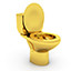 Gold Toilet