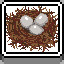 Bird Nest