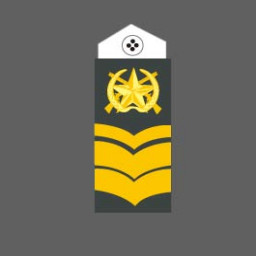 Chief Warrant Officer