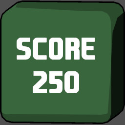 Score 250