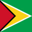 Flag of Guyana