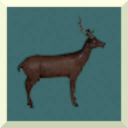 NEW SEE DEER