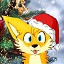 loczek77_fox_Xmas