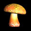 Mushroom 2