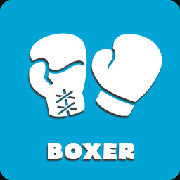 Boxing Boss