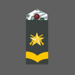 Sergeant First Class