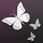 Social Butterfly