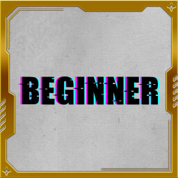 Beginner