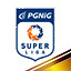 PGNiG Superliga