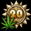 Collect 20 Hemp