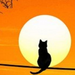 Cat on a Wire