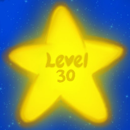 Level 30