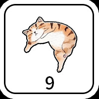 9