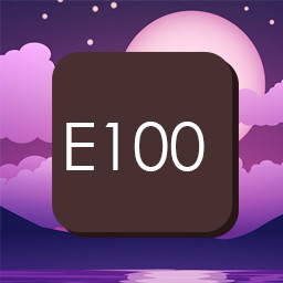 E100