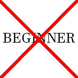 Beginner