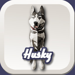 Husky