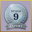 Stage 9 Expert