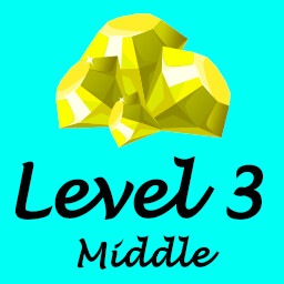 Level 3 Middle