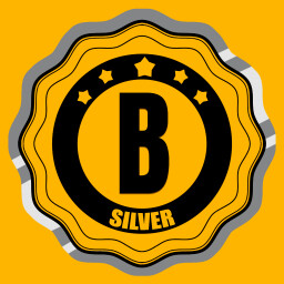 Drive License B Silver