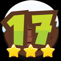 LEVEL 17