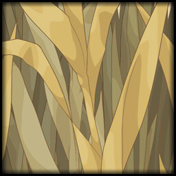 Tall grass