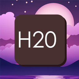 H20