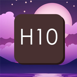 H10