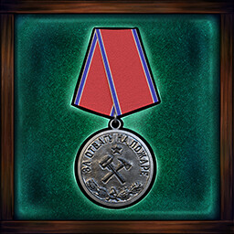 Medal for 